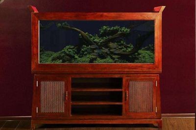 海納利爾魚缸是正品牌嗎：海納利爾魚缸旗艦店可能是正品銷售的海納利爾魚缸旗艦店 海納利爾魚缸是正品牌嗎：海納利爾魚缸旗艦店可能是正品銷售的海納利爾魚缸旗艦店 魚缸百科 第4張