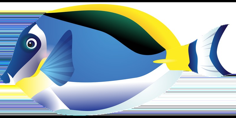 保定市徐水區祥龍閣水族超市（保定市徐水區祥龍閣水族超市電話）