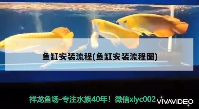 封開縣江口鎮足之吻水族館（封開縣江口鎮沐足）