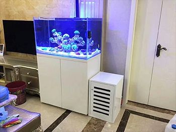 魚缸選擇魚缸的選擇與魚缸的選擇與答案有哪些問題：關于魚缸的問題