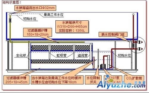 銀龍魚從缸中跳出預示著什么（銀龍魚從缸中跳出預示著什么意思）