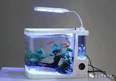 非凡水族魚缸怎么安裝視頻魚缸安裝常見誤區新手可能會犯：非凡水族魚缸怎么安裝