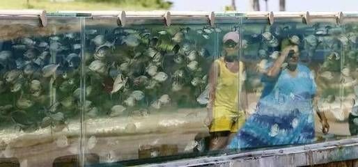 非凡水族魚缸怎么安裝視頻魚缸安裝常見誤區(qū)新手可能會犯：非凡水族魚缸怎么安裝