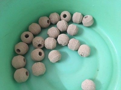 龍魚濾材可以有珊瑚嗎 龍魚濾材可以有珊瑚嗎 龍魚百科 第1張