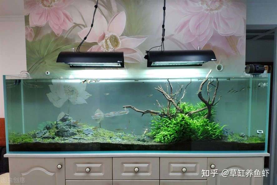 新手選擇海缸生態(tài)系統(tǒng)建立一個(gè)健康的海缸生態(tài)系統(tǒng)需要精心規(guī)劃和維護(hù)：如何打造一個(gè)穩(wěn)定的海水魚缸生態(tài)系統(tǒng)