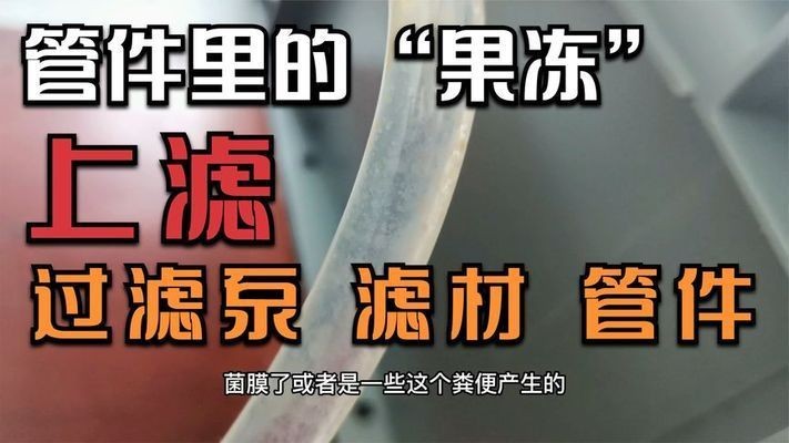魚缸過濾系統的維護：魚缸增氧技術探索魚缸增氧技術探究魚缸增氧技術的各種方法