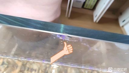玻璃魚缸外側有小裂痕：玻璃魚缸外側出現小裂痕怎么辦