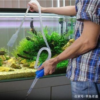 玻璃魚缸外側有小裂痕：玻璃魚缸外側出現小裂痕怎么辦