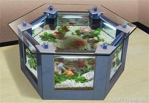 錦江區(qū)壁掛水族經(jīng)營部（錦江區(qū)壁掛水族經(jīng)營部地址）