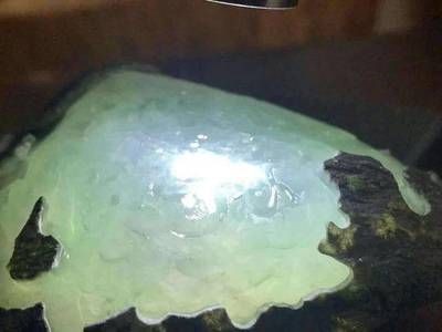 魚缸生態系統的構建了解魚缸生態系統至關重要：魚缸水質管理的重要性