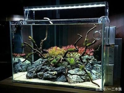 南京市浦口區戲水年華水族館（南京市浦口區戲水年華水族館地址）