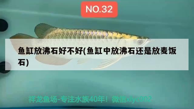魚缸放沸石好不好(魚缸中放沸石還是放麥飯石)