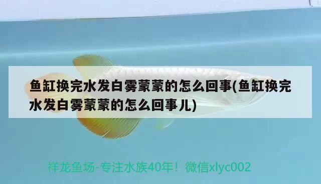 求助虎魚問題