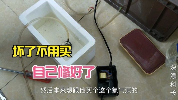 銀龍魚魚鰭有白點是什么病（銀龍魚魚鰭有白點是什么病毒）