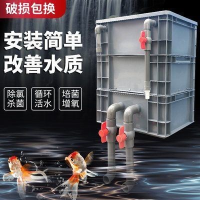 福州市倉山區可麗愛水族店（福州市倉山區可麗愛水族店地址）