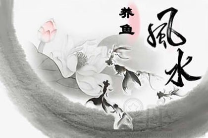 紅龍魚燈光譜對色彩影響（紅龍魚燈光譜在藝術(shù)和設(shè)計中的應(yīng)用有哪些？）