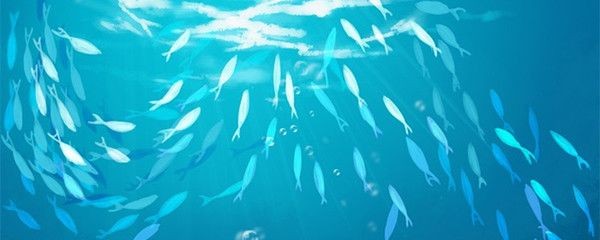 黃金達摩魚混養注意事項，黃金達摩魚在混養時需要注意水質和環境要求和管理混養