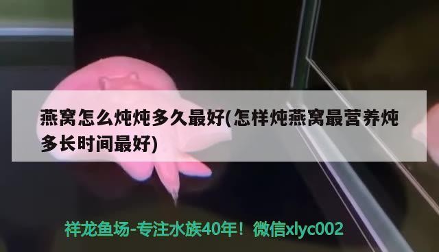 魚骨紋屬于虎斑嗎還是老虎（虎斑紋和魚骨紋）