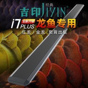 紅龍魚烤色燈什么牌子好 龍魚百科 第3張 紅龍魚烤色燈什么牌子好 紅龍魚烤色燈什么牌子好 龍魚百科 第3張