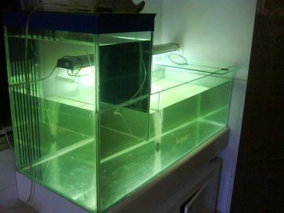 負壓魚缸的科學原理解析負壓魚缸的科學原理是什么：負壓魚缸是一種創新的水族展示方式