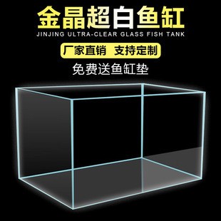 銀龍魚公母圖片（銀龍魚公母圖片對比）