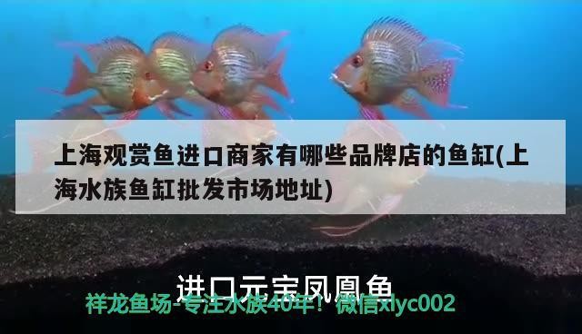 回民區蘭鱗閣水族館（回民區蘭鱗閣水族館電話） 回民區蘭鱗閣水族館（回民區蘭鱗閣水族館電話） 全國水族館企業名錄 第1張