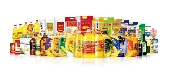 金龍魚品質排行榜 金龍魚品質排行榜 龍魚百科 第1張