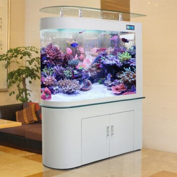南平市延平區趙興水族花鳥行（南平市延平區花鳥市場）