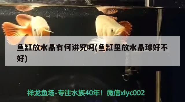 魚缸放水晶有何講究嗎(魚缸里放水晶球好不好)