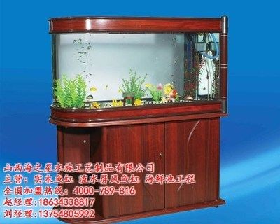 漢川市魚多多水族金魚店：漢川市幾個可能賣魚缸的地方