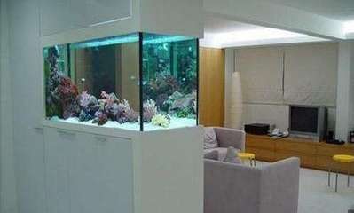 南寧市揚(yáng)美錦鯉水族店(南寧市揚(yáng)美錦鯉水族店地址) 全國(guó)水族館企業(yè)名錄 第1張 南寧市揚(yáng)美錦鯉水族店(南寧市揚(yáng)美錦鯉水族店地址) 南寧市揚(yáng)美錦鯉水族店(南寧市揚(yáng)美錦鯉水族店地址) 全國(guó)水族館企業(yè)名錄 第1張