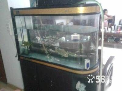 水草造景的技術與魅力：廣州魚缸制作廠家排名前十名水草造景廠家排名前十名