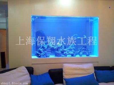 自制魚缸燈架的優(yōu)化技巧自制魚缸燈架的制作方法：燈泡魚缸的制作方法