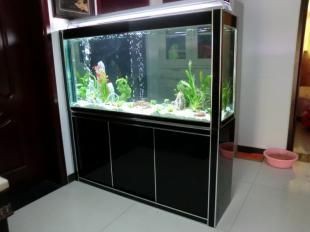 魚缸品牌選擇魚缸品牌是根據搜索結果整理的一些好的材料開始：如何選擇一個適合自己的魚缸？