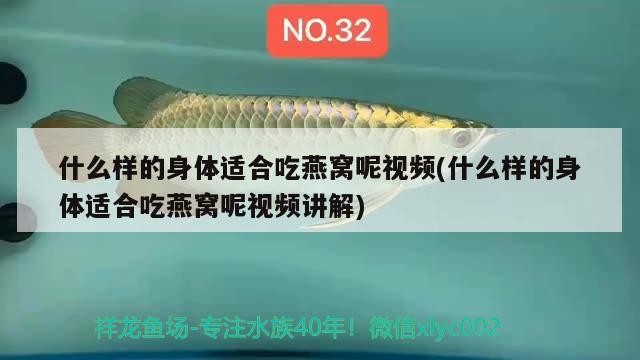龍魚與虎魚混養好不好呀（龍魚和虎魚混養怎么喂食）