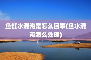 剛換的魚缸水變渾濁怎么辦：剛換的魚缸水變渾濁可能是由于多個因素共同作用的結果