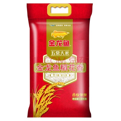 銀龍魚(yú)金龍魚(yú)紅龍魚(yú)（銀龍魚(yú)vs金龍魚(yú)）