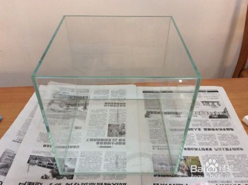 銀龍魚爛尾爛鰭怎么辦呢視頻講解一下（銀龍魚爛尾爛鰭怎么辦呢視頻講解一下）