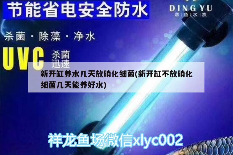 虎鯨捕食海象嗎（鯨魚(yú)吃海象）