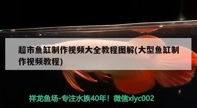 超市魚缸制作視頻大全教程圖解(大型魚缸制作視頻教程) 超市魚缸制作視頻大全教程圖解(大型魚缸制作視頻教程) 銀龍魚百科