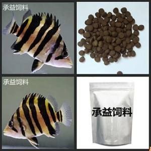 四紋虎魚飼料選擇指南，關于四紋虎魚飼料選擇的詳細指南