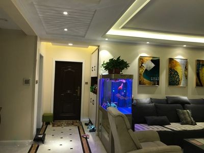 電視旁邊放魚缸，風水學上有什么講究？：電視旁邊放魚缸在風水學中的五行相克原理五行理論解釋 電視旁邊放魚缸，風水學上有什么講究？：電視旁邊放魚缸在風水學中的五行相克原理五行理論解釋 魚缸百科 第1張