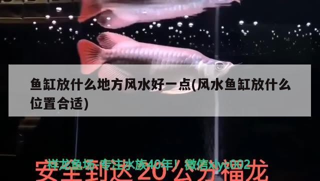 世界上最大的四個漁場是哪四個（我國四大漁場是）