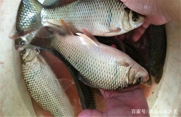 市中區濤濱水族商店 全國水族館企業名錄 第1張 市中區濤濱水族商店 市中區濤濱水族商店 全國水族館企業名錄 第1張