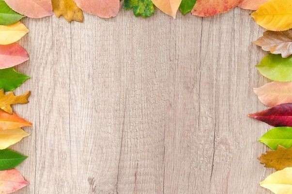 辣椒紅龍混養的最佳伴侶選擇，辣椒紅龍混養伴侶選擇