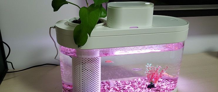魚缸水泵的啟停方法：畫法幾何魚缸水泵的啟停