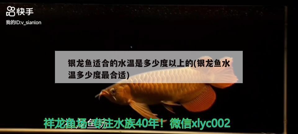 銀龍魚適合的水溫是多少度以上的(銀龍魚水溫多少度最合適) 銀龍魚適合的水溫是多少度以上的(銀龍魚水溫多少度最合適) 銀龍魚百科