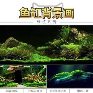 巨野縣程桂賓水族館（巨野程帥） 巨野縣程桂賓水族館（巨野程帥） 全國水族館企業(yè)名錄 第1張
