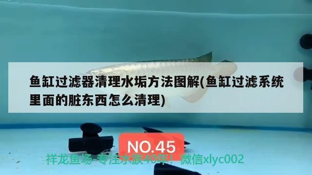 魚(yú)缸過(guò)濾器選購(gòu)指南:自制魚(yú)缸過(guò)濾器魚(yú)缸上置過(guò)濾器對(duì)于養(yǎng)魚(yú)愛(ài)好者的必備知識(shí) 魚(yú)缸過(guò)濾器清理水垢方法圖解(魚(yú)缸過(guò)濾系統(tǒng)里面的臟東西怎么清理) 銀龍魚(yú)百科 魚(yú)缸過(guò)濾器清理水垢方法圖解(魚(yú)缸過(guò)濾系統(tǒng)里面的臟東西怎么清理) 魚(yú)缸過(guò)濾器清理水垢方法圖解(魚(yú)缸過(guò)濾系統(tǒng)里面的臟東西怎么清理) 銀龍魚(yú)百科