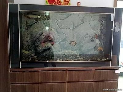 魚缸稅務處理指南企業在購買魚缸時需要了解的費用：公司購買魚缸的總費用包括哪些？